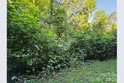 109 Big Ridge Road #109, Burnsville, NC 28714 - Photo 16