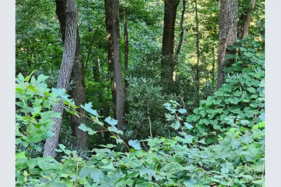 109 Big Ridge Road #109, Burnsville, NC 28714 - Photo 2