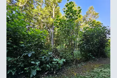 109 Big Ridge Road #109, Burnsville, NC 28714 - Photo 14