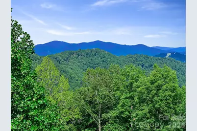 185 Blue Bird Lane, Spruce Pine, NC 28777 - Photo 32