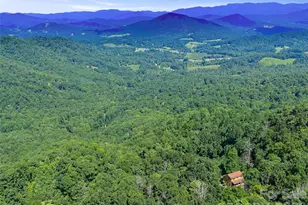 185 Bluebird Ln, Spruce Pine, NC 28777 - Photo 34