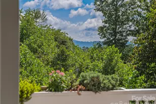 34 Ridge Glen Ln, Leicester, NC 28748 - Photo 40