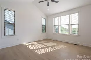 46 Solomia Dr, Mills River, NC 28759 - Photo 28