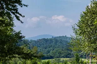 46 Solomia Dr, Mills River, NC 28759 - Photo 44