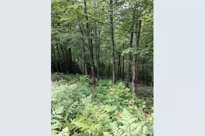 Tbd Preservation Trail #47, Sylva, NC 28779 - Photo 2