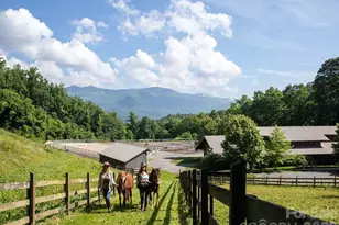 1243 Cook House Rd, Sylva, NC 28779 - Photo 8