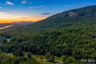 485 Grandview Dr, Lake Lure, NC 28746 - Photo 2