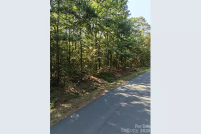 1550 Maiden Wood Circle, Maiden, NC 28650 - Photo 4