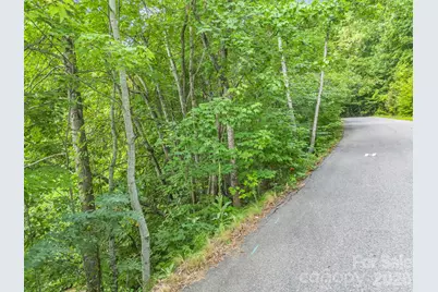 99999 Crestview Drive #A11, Black Mountain, NC 28711 - Photo 8