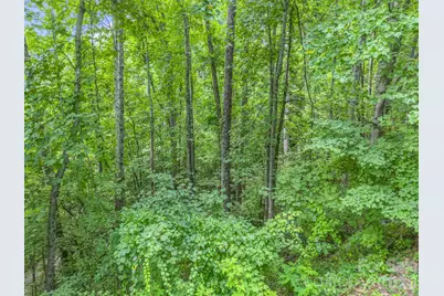 99999 Crestview Drive #A11, Black Mountain, NC 28711 - Photo 10