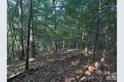 V/L Scenic Vista Drive #332/333, Nebo, NC 28761 - Photo 8