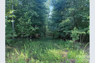 V/L Scenic Vista Drive #332/333, Nebo, NC 28761 - Photo 2