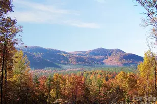 V/L Scenic Vista Dr, Nebo, NC 28761 - Photo 1
