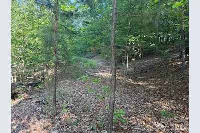 V/L Scenic Vista Drive #332/333, Nebo, NC 28761 - Photo 16