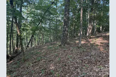 V/L Scenic Vista Drive #332/333, Nebo, NC 28761 - Photo 10