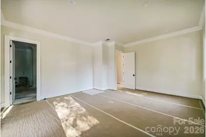 21216 Rio Oro Drive, Cornelius, NC 28031 - Photo 12