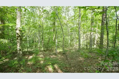 0 Beargrass Lane, Sherrills Ford, NC 28673 - Photo 10