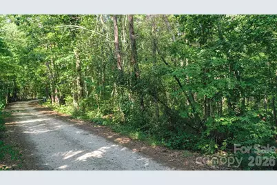 0 Beargrass Lane, Sherrills Ford, NC 28673 - Photo 6