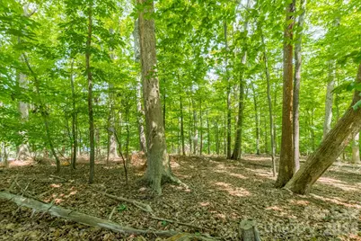 195 Agnew Road, Mooresville, NC 28117 - Photo 6