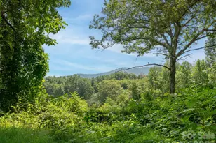 195 Shiloh Rd, Asheville, NC 28803 - Photo 30