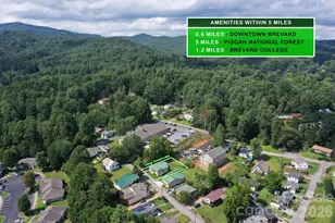 138 West Ln, Brevard, NC 28712 - Photo 28