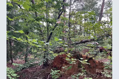 00 Tyler Terrace #Lot 11, Rutherfordton, NC 28139 - Photo 6