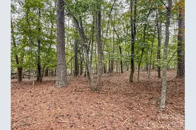 253 Nors Way, Lake Lure, NC 28746 - Photo 28