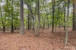 253 Nors Way, Lake Lure, NC 28746 - Photo 28
