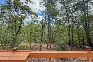 253 Nors Way, Lake Lure, NC 28746 - Photo 8