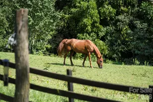 48 Silent Forest Dr, Canton, NC 28716 - Photo 1