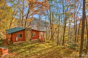 430 Long Branch Rd, Maggie Valley, NC 28751 - Photo 2