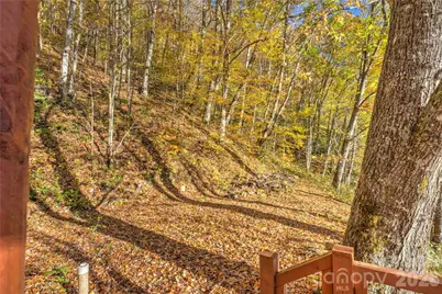 430 Long Branch Road, Clyde, NC 28721 - Photo 24