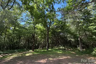 382 Alexis High Shoals Rd, Dallas, NC 28034 - Photo 10