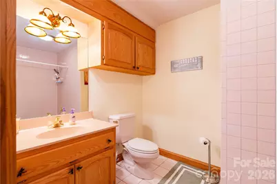 832 Asheville Highway, Sylva, NC 28779 - Photo 32