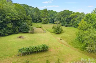 1061 Indian Trl Rd, Mars Hill, NC 28754 - Photo 8
