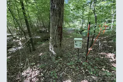 000 Alexis High Shoals Road, Dallas, NC 28034 - Photo 4
