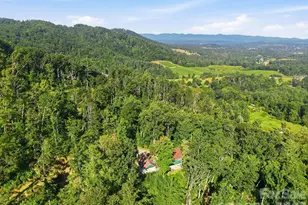 270 Upper Herron Cove Rd, Weaverville, NC 28787 - Photo 42