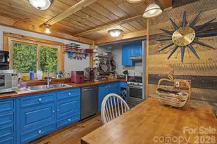 270 Upper Herron Cove Rd, Weaverville, NC 28787 - Photo 2