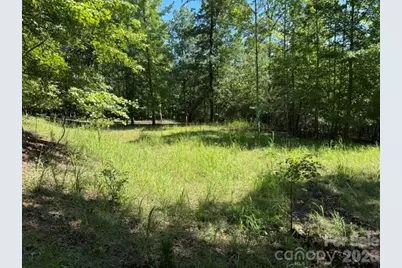 00 Elliott Drive #51, Rutherfordton, NC 28139 - Photo 10
