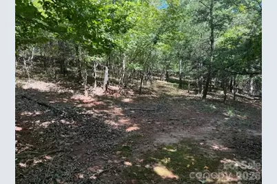 00 Elliott Drive #51, Rutherfordton, NC 28139 - Photo 6