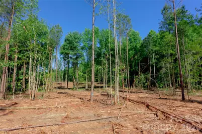 0 Carson Road #1, Cleveland, NC 27013 - Photo 6