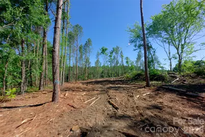 0 Carson Road #2, Cleveland, NC 27013 - Photo 6