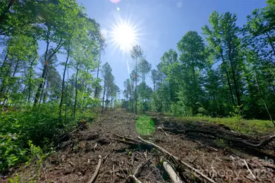 0 Carson Road #2, Cleveland, NC 27013 - Photo 10