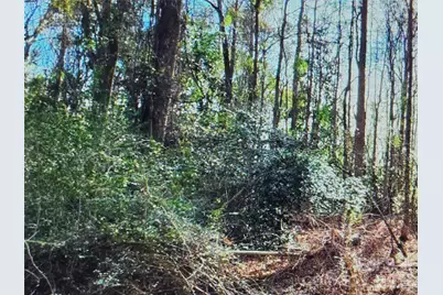 00 S Rollins Drive, Kershaw, SC 29067 - Photo 1