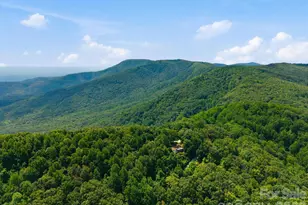 327 Summit Rd, Tryon, NC 28782 - Photo 44