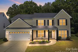 9709 Nannyberry Ln, Charlotte, NC 28273 - Photo 1