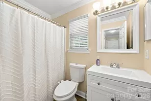 9709 Nannyberry Ln, Charlotte, NC 28273 - Photo 18