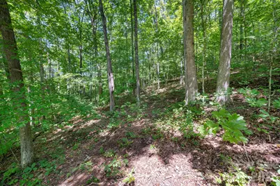 1250 Arborcrest Way #43, Fairview, NC 28778 - Photo 4