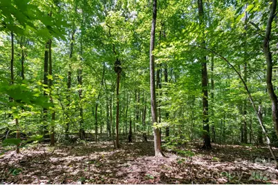 1250 Arborcrest Way #43, Fairview, NC 28778 - Photo 8