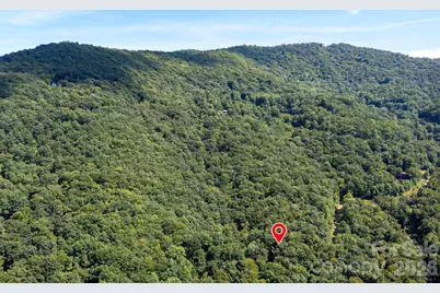 1250 Arborcrest Way #43, Swannanoa, NC 28778 - Photo 1